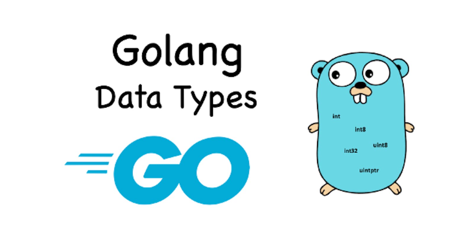 Understanding Basic Data Types in Go