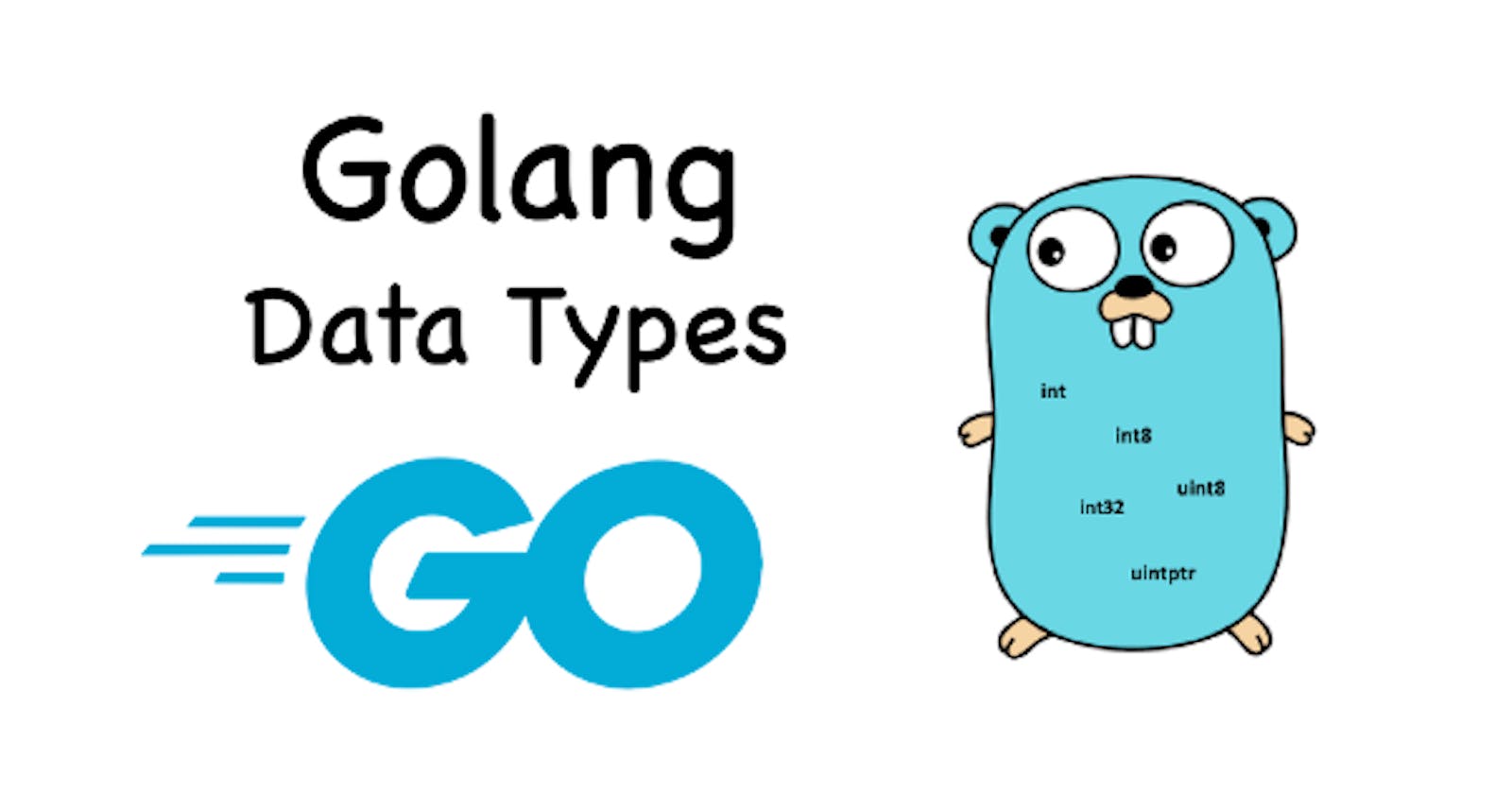 Understanding Basic Data Types in Go