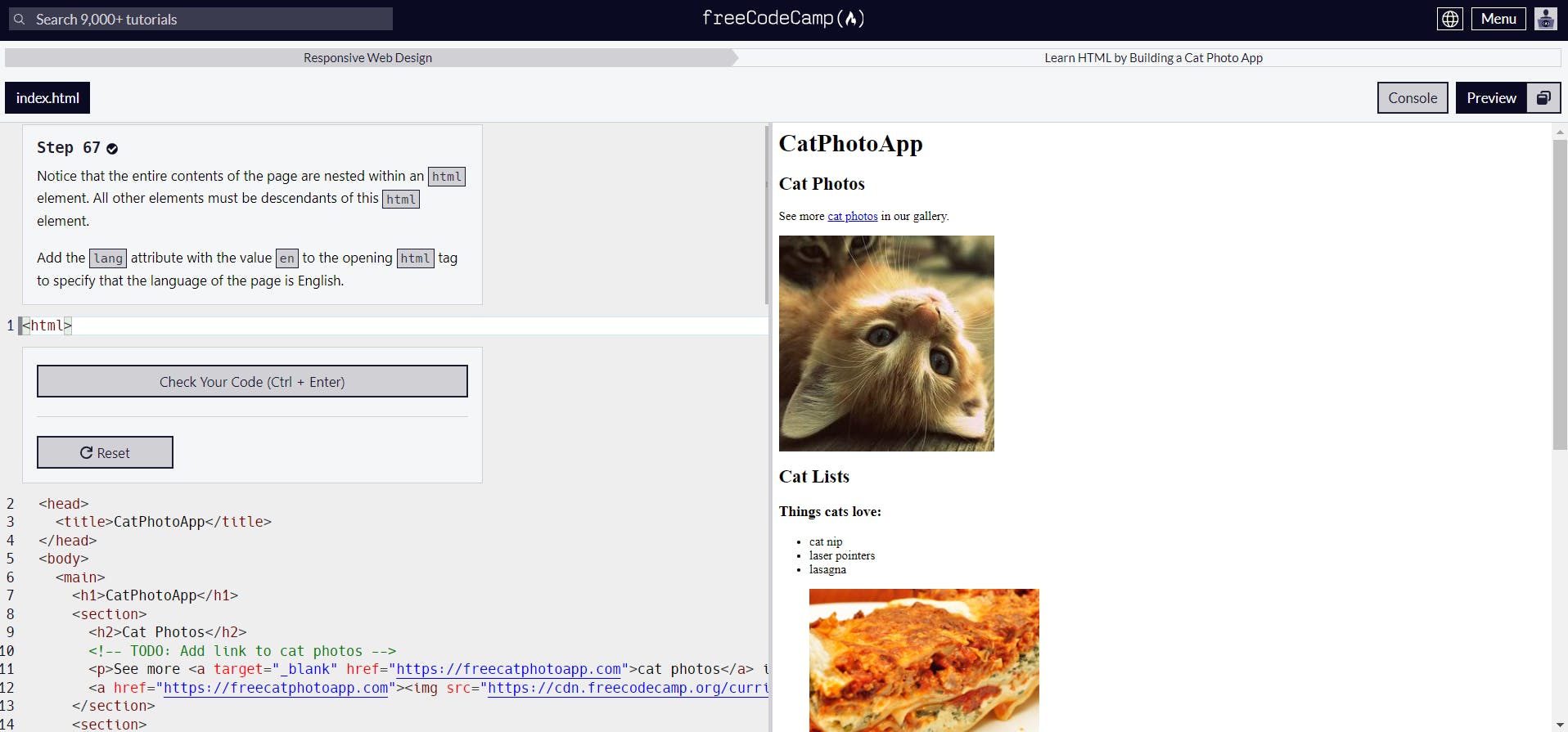 Screenshot of CatPhotoApp, freeCodeCamp