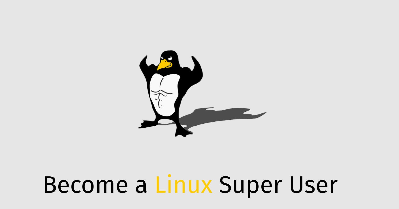 Elevate Your Linux Skills: Beginner to Intermediate