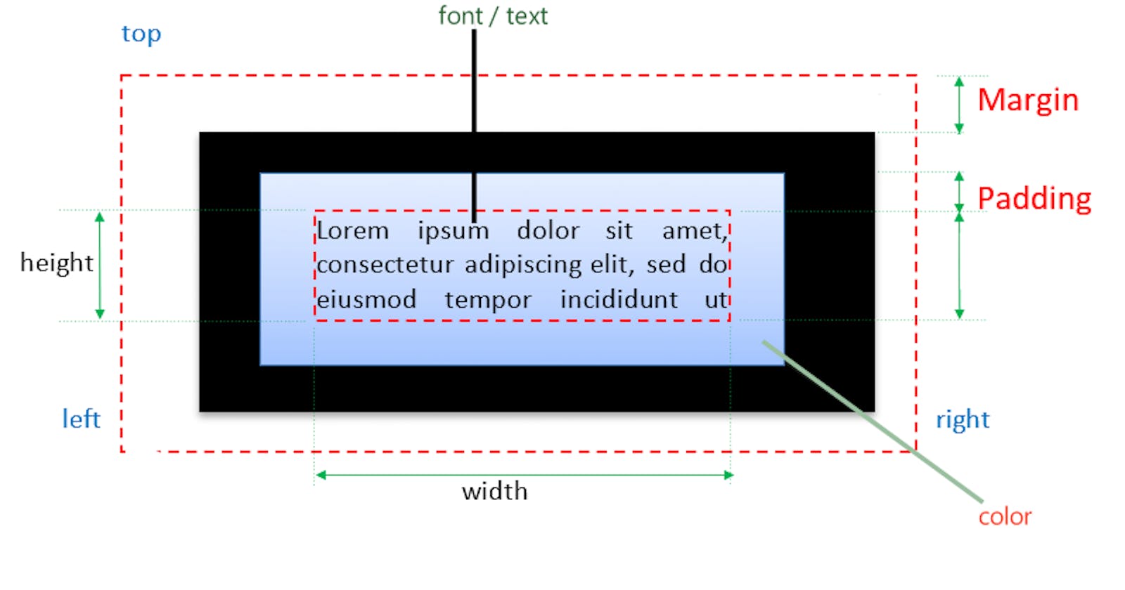 All about Margin , padding , text , font and display in css(lt.16)