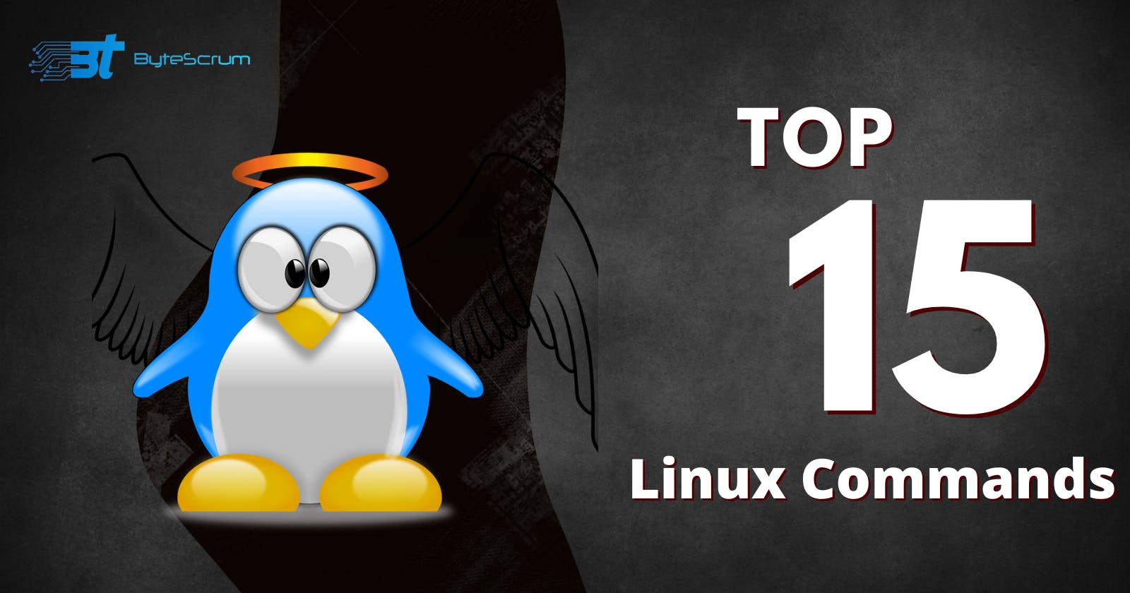Mastering Linux: A Comprehensive Guide to Essential Commands