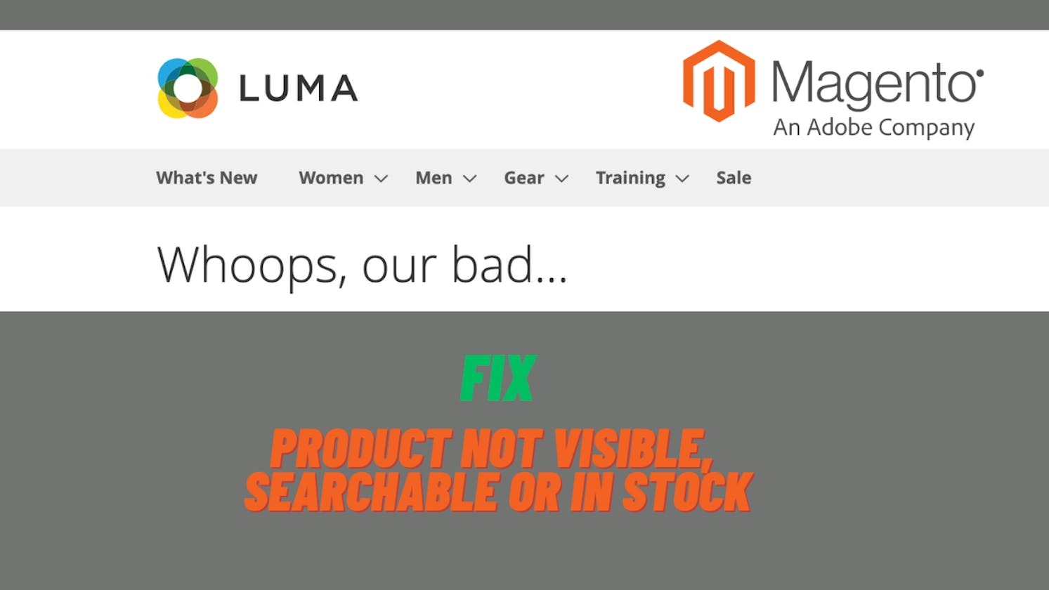 Fix: Product is not visible in frontend in Magento