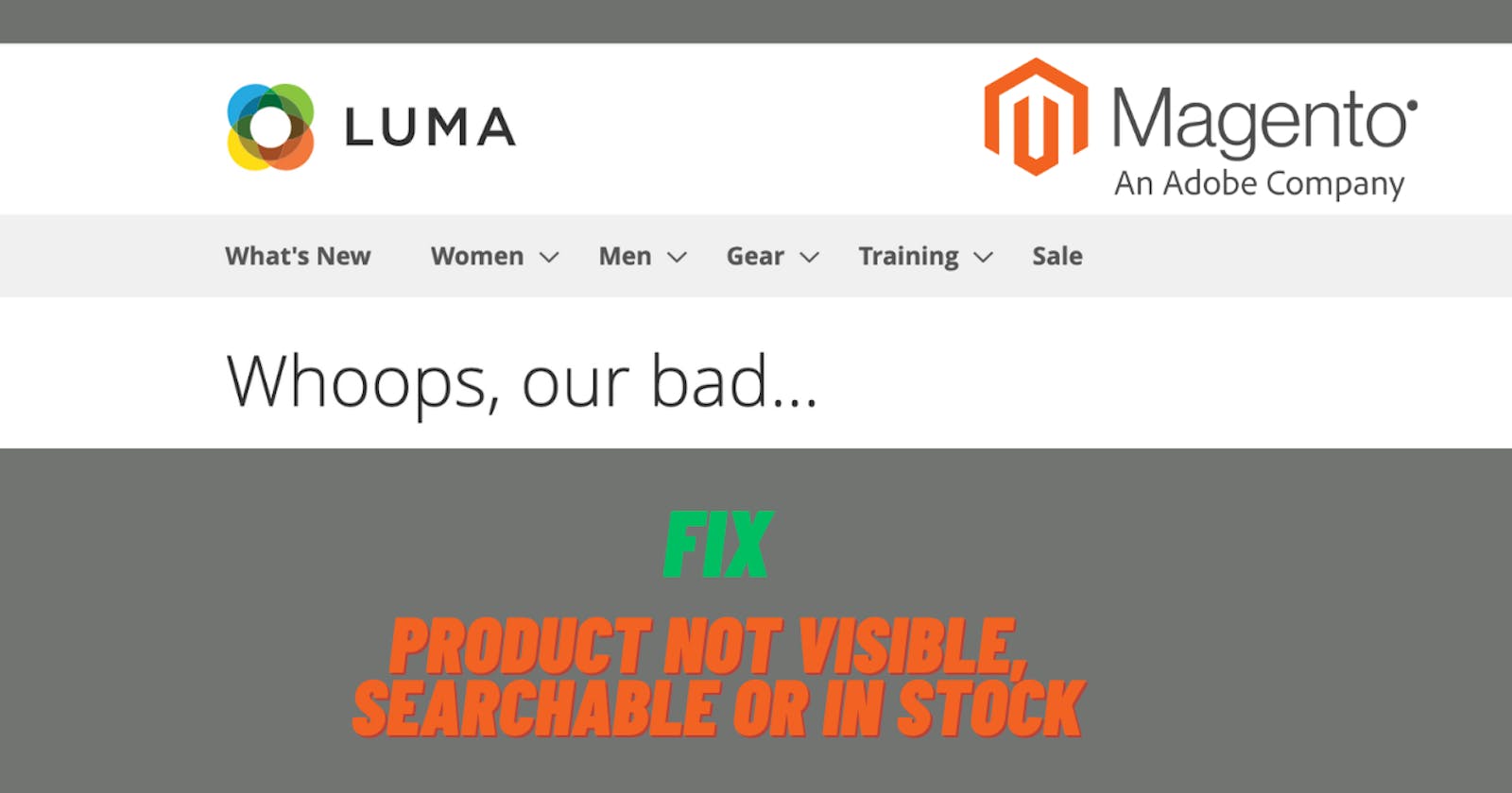 Fix: Product is not visible in frontend in Magento