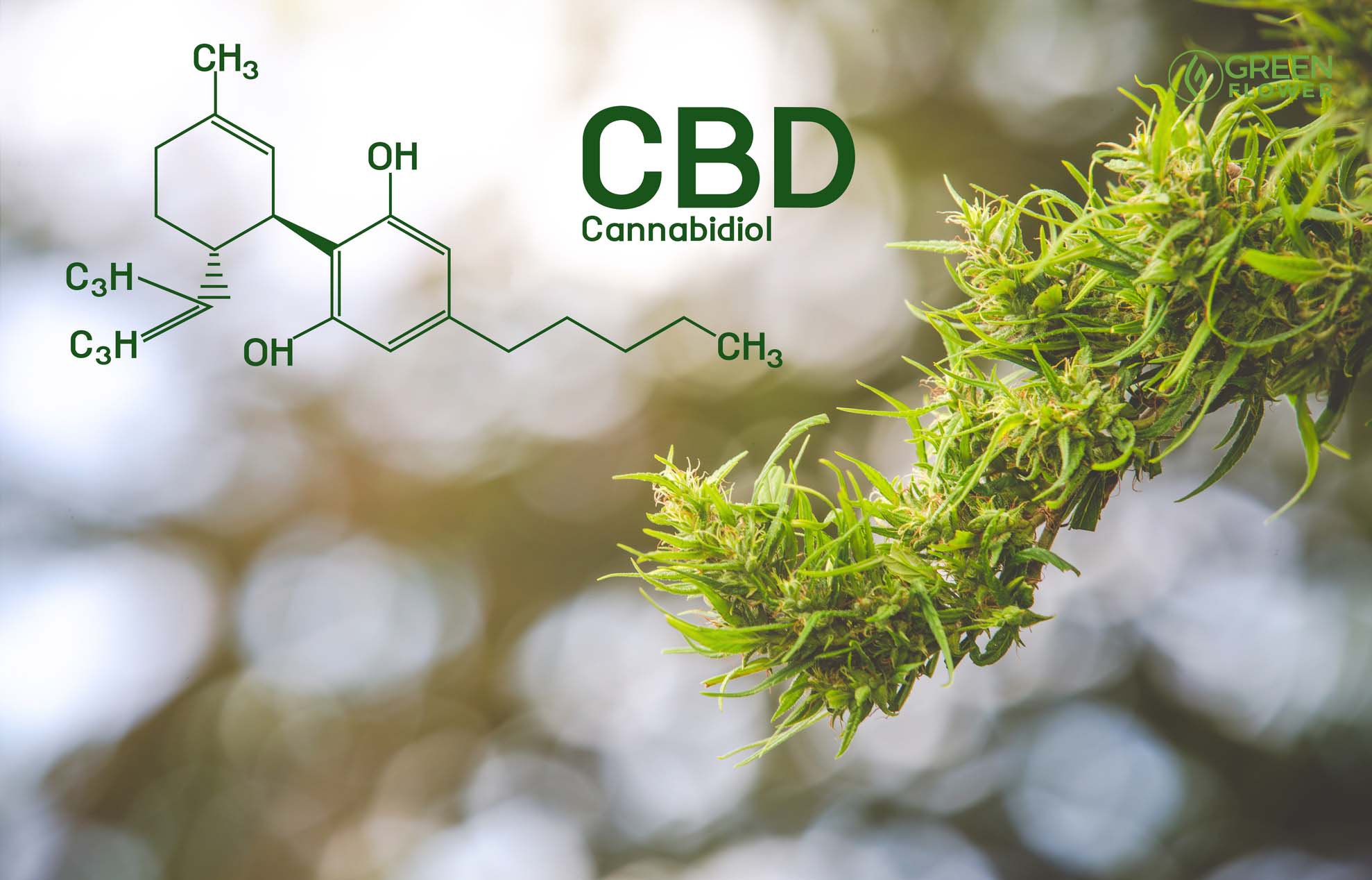 HempSmart CBD Gummies Reviews Scam (Complaints 2023 Watch Out!) Honest Opinions Of HempSmart CBD Gummies Users!
