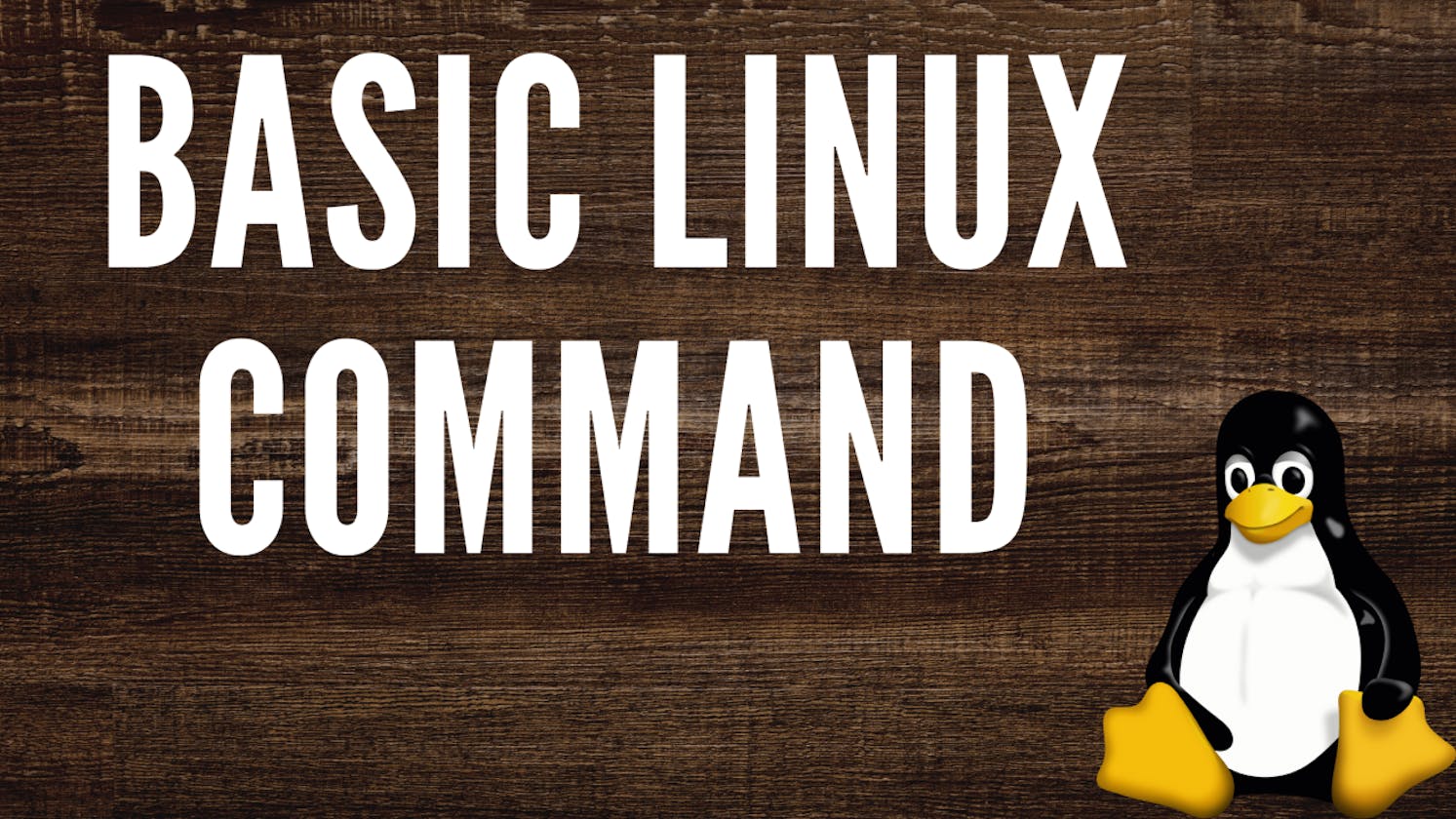 DAY 2 : Basics Linux Commands