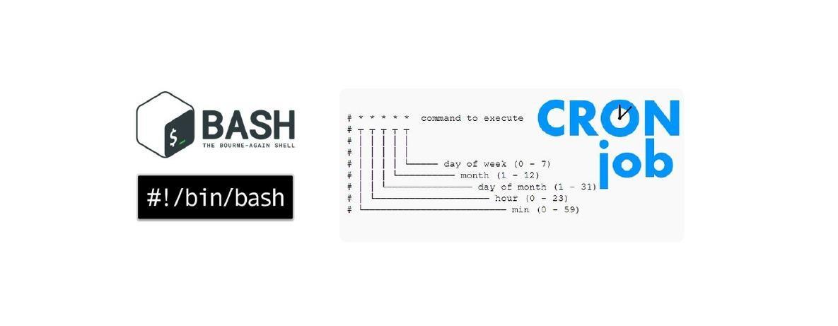 Integrating Shell Script with Cron Job for Reporting AWS Resource Usage