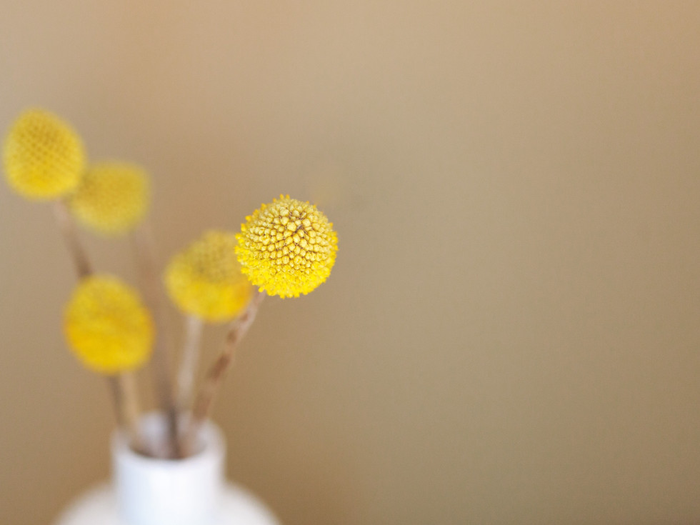 Flower Art Competition Connects Artists with the Beauty of Blossoms.