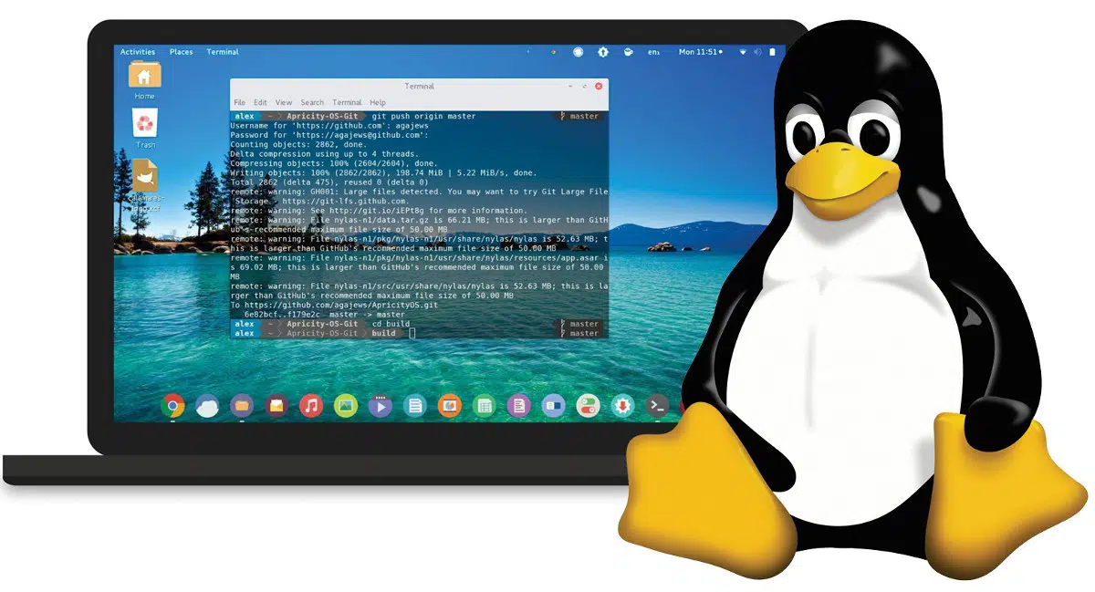 Step-by-step guide for installation of Linux