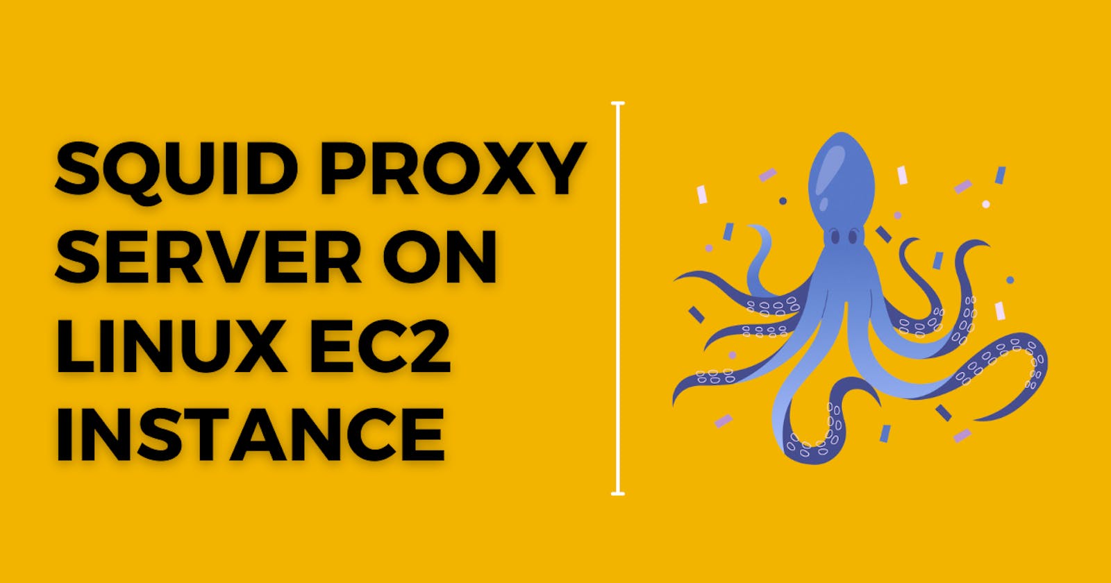 Squid Proxy on Linux EC2 server