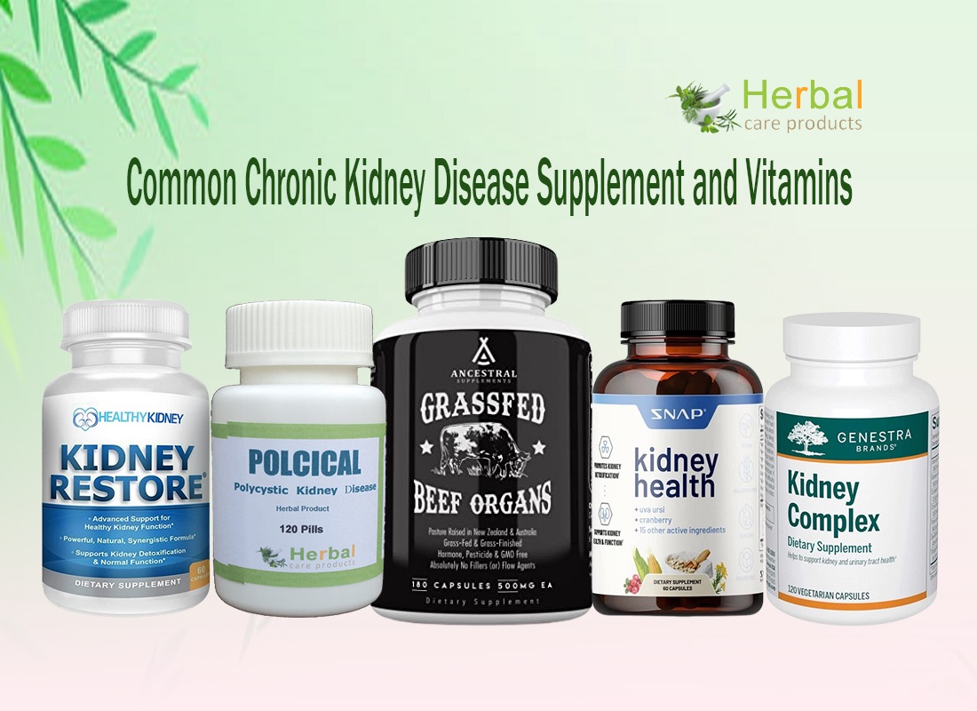 Herbs and Supplements for Optimal Kidney Health: What You Need to Know