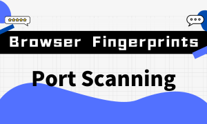 Browser Fingerprints 101: Port Scanning