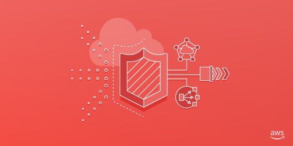 "Guardians of the Cloud: Unveiling the Power of AWS Shield"