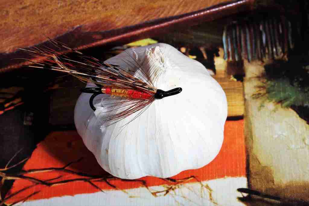 Garlic as Fish Bait