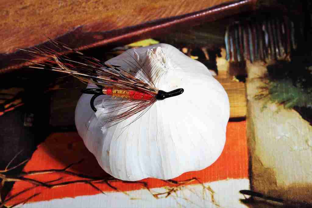 Ways to Use Garlic as Fish Bait