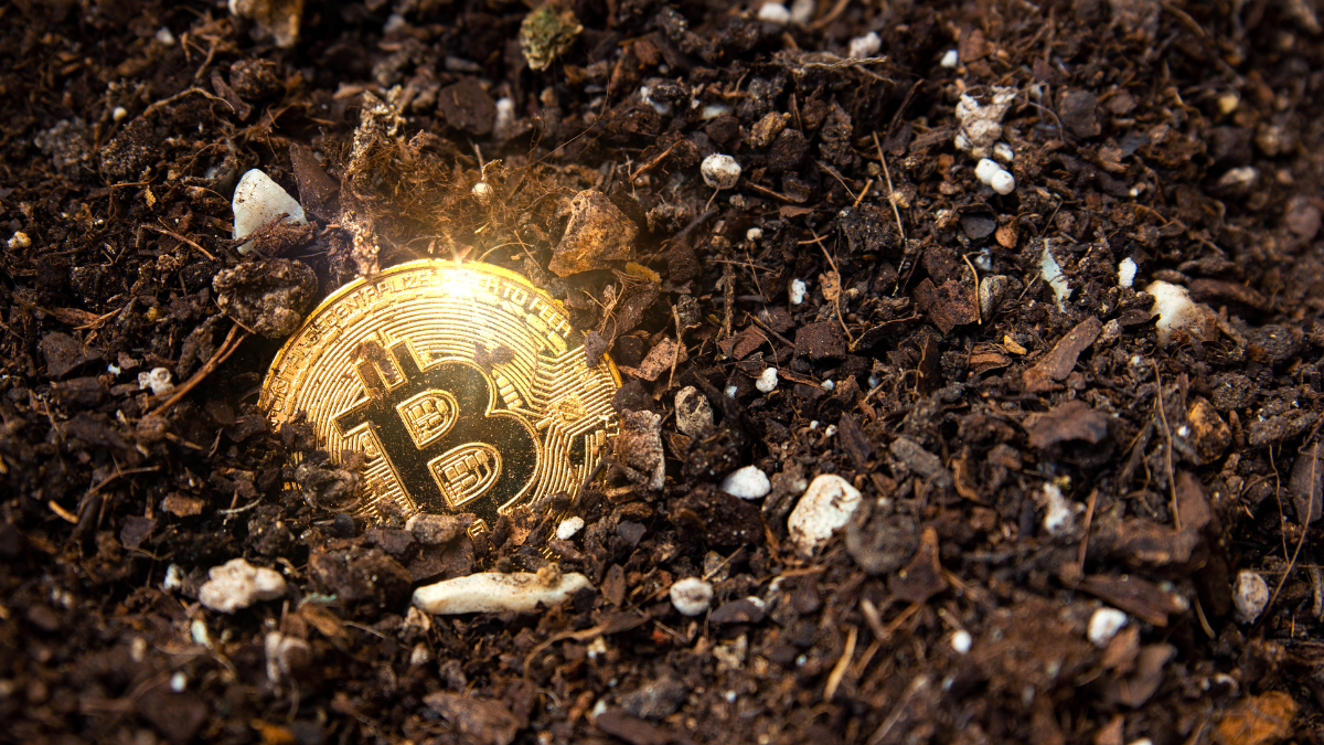 Cracking the Code: Unveiling ICO Software Development Dynamics and Choosing the Right Company