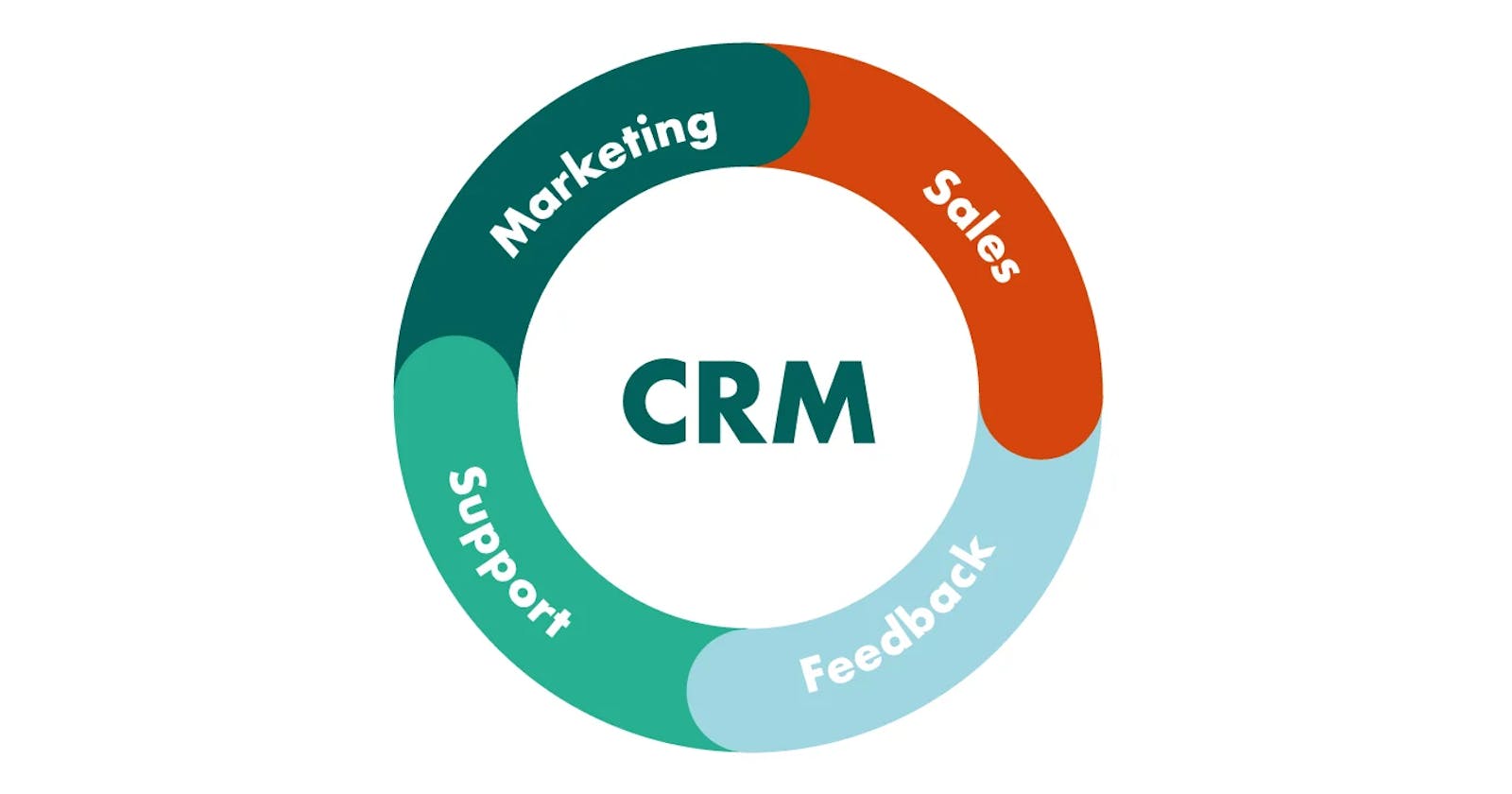 Discovering WordPress's Potential: Creating a Streamlined CRM