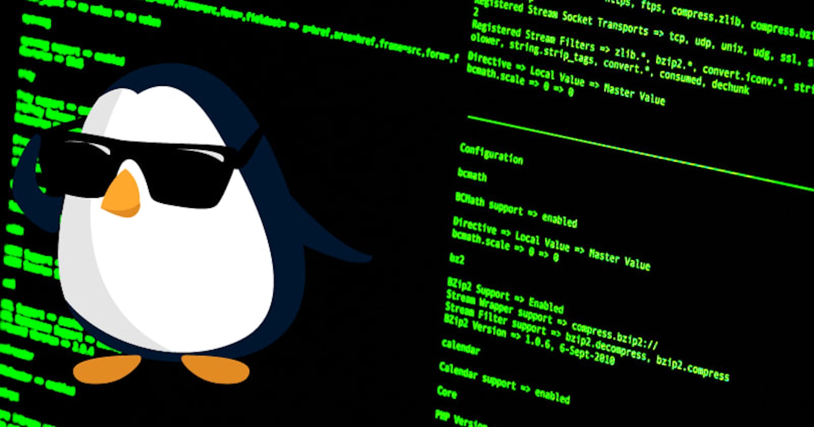 Linux server essentials for web developers