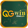 pro qgwin