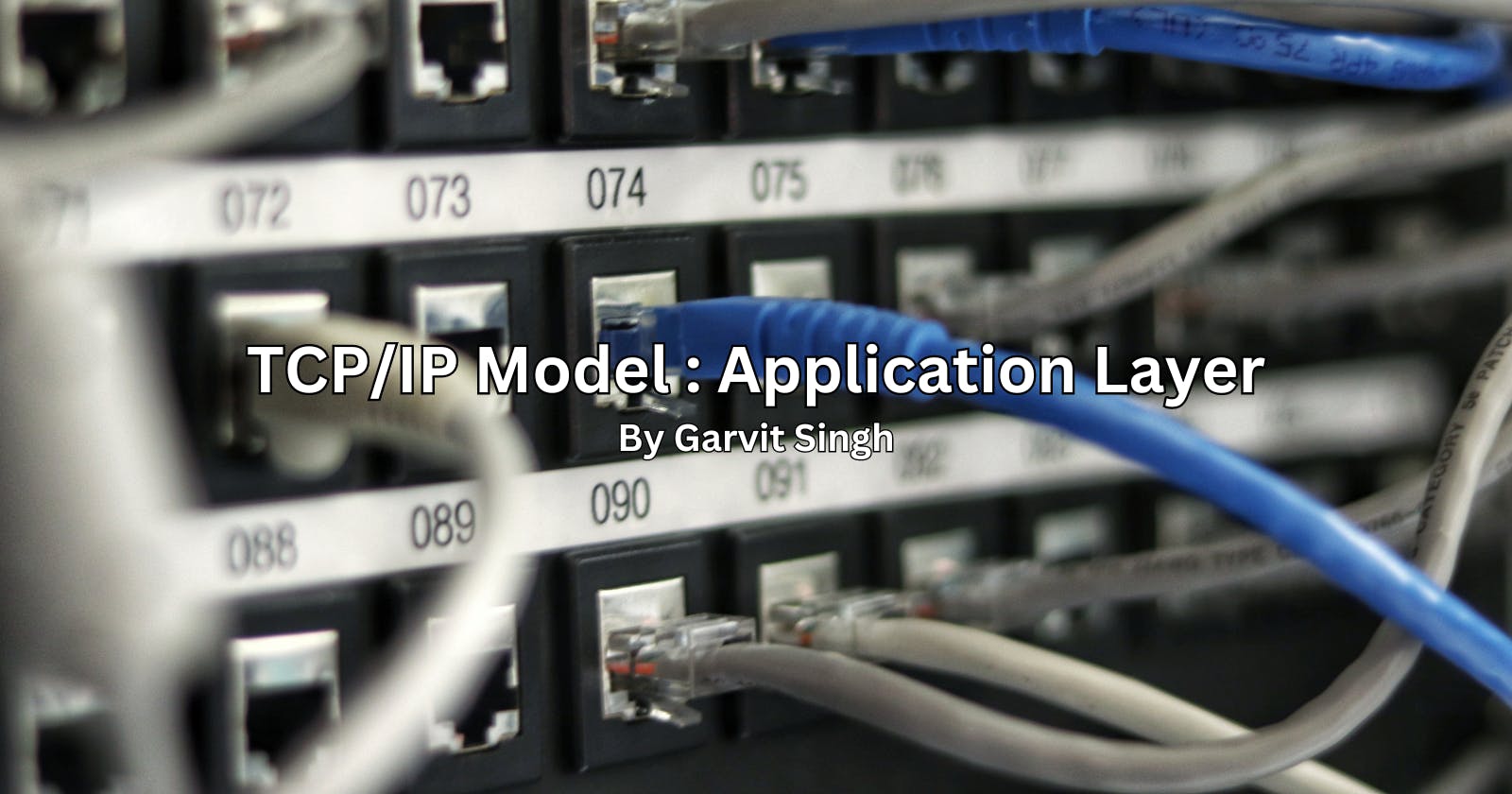 TCP/IP Model : Application Layer