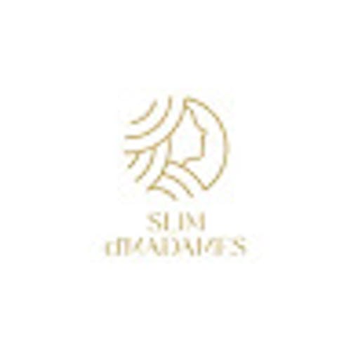 Slim Damadames's blog