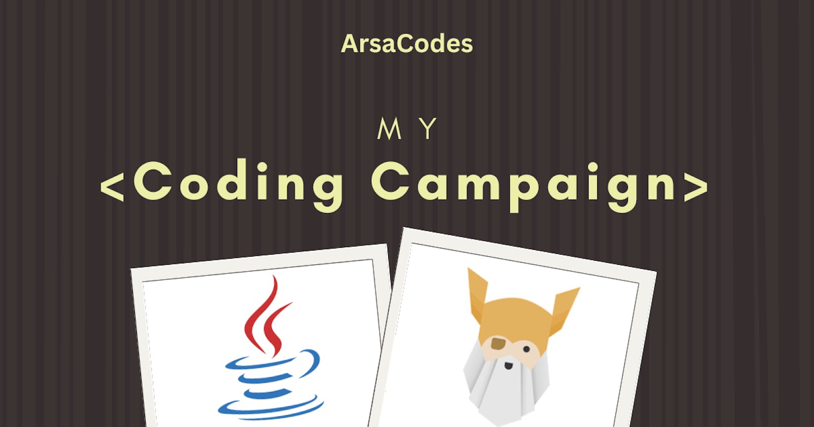 Day 1: My Coding Campaign
