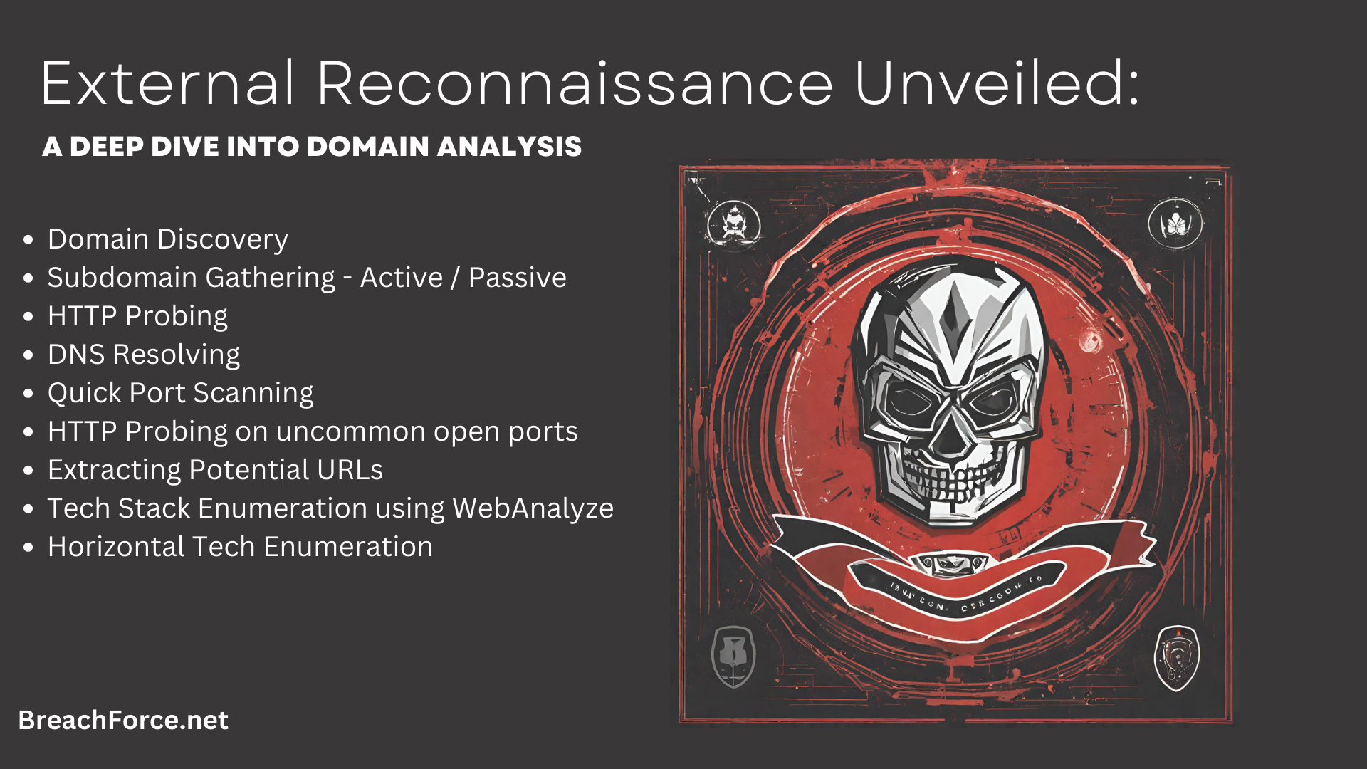 External Reconnaissance Unveiled: A Deep Dive into Domain Analysis