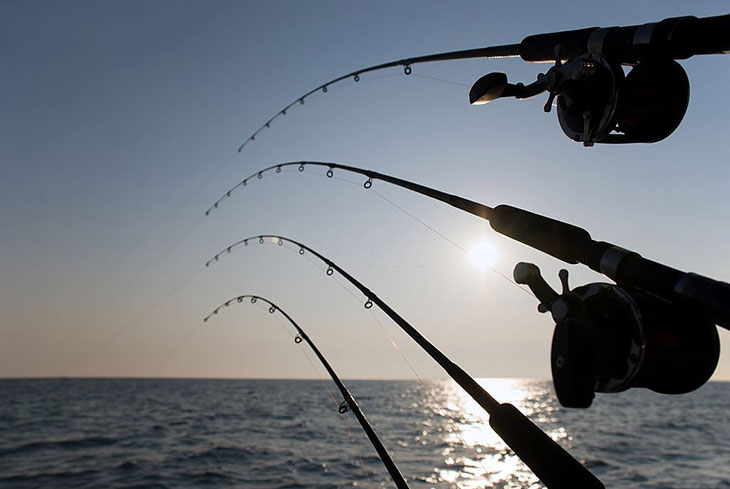 Comprehensive Information On Angling