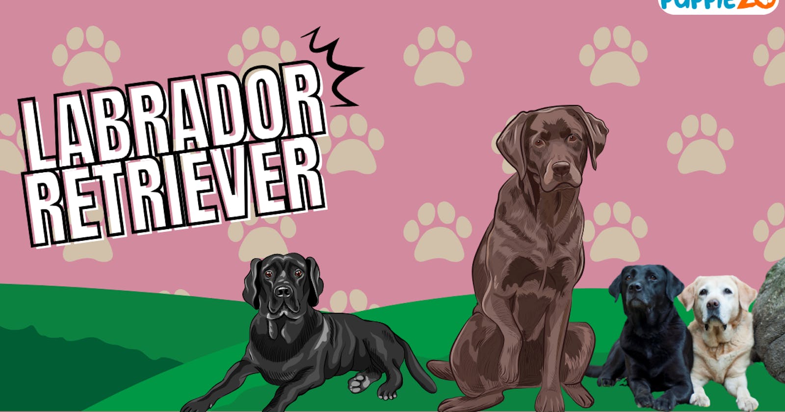Labrador Retriever: Unleashing the Heart and Soul of a Furry Companion