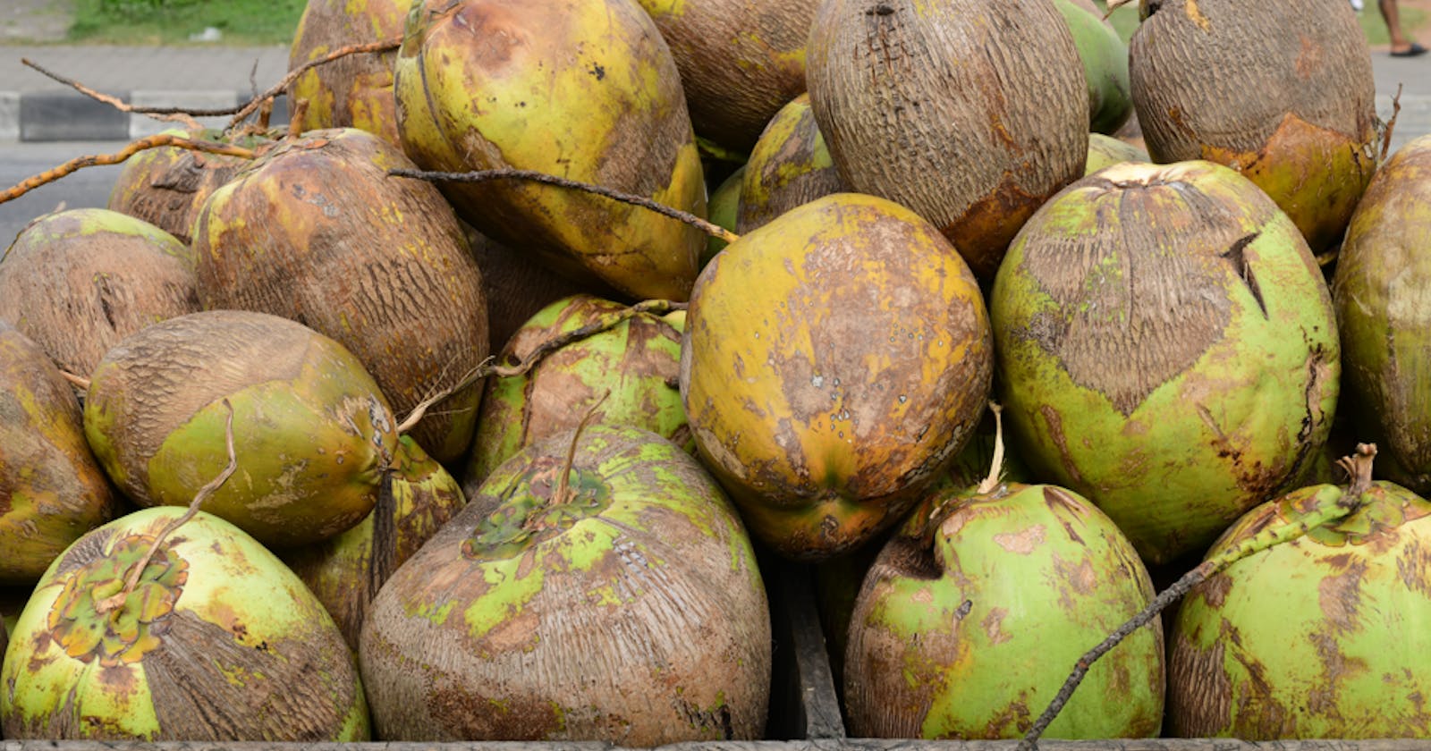 Coconut Chronicles 🥥 : Unearthing Nature's Nutritional Riches