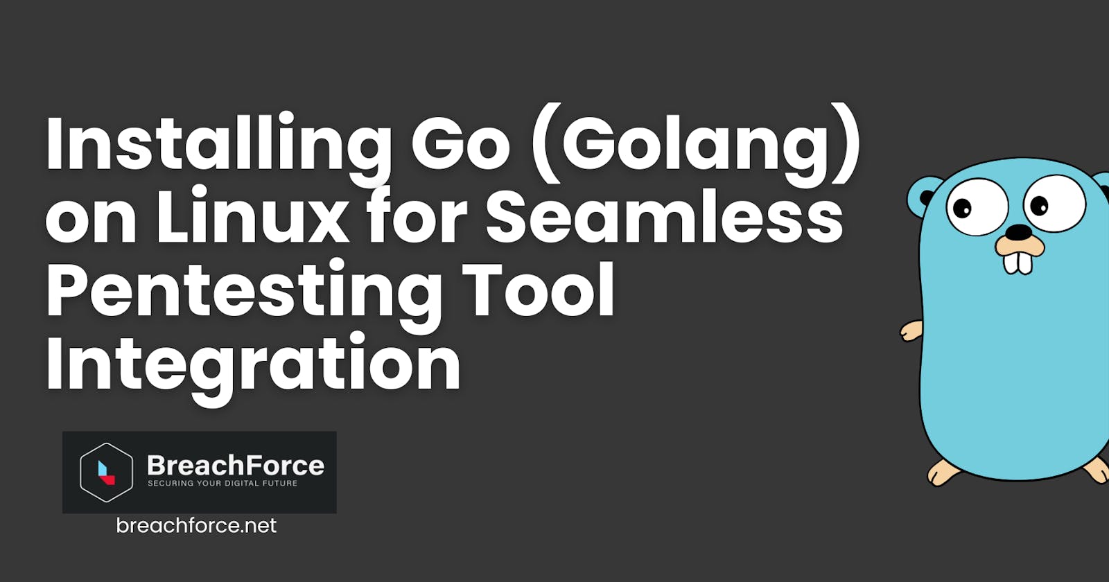 Installing Go (Golang) on Linux for Seamless Pentesting Tool Integration
