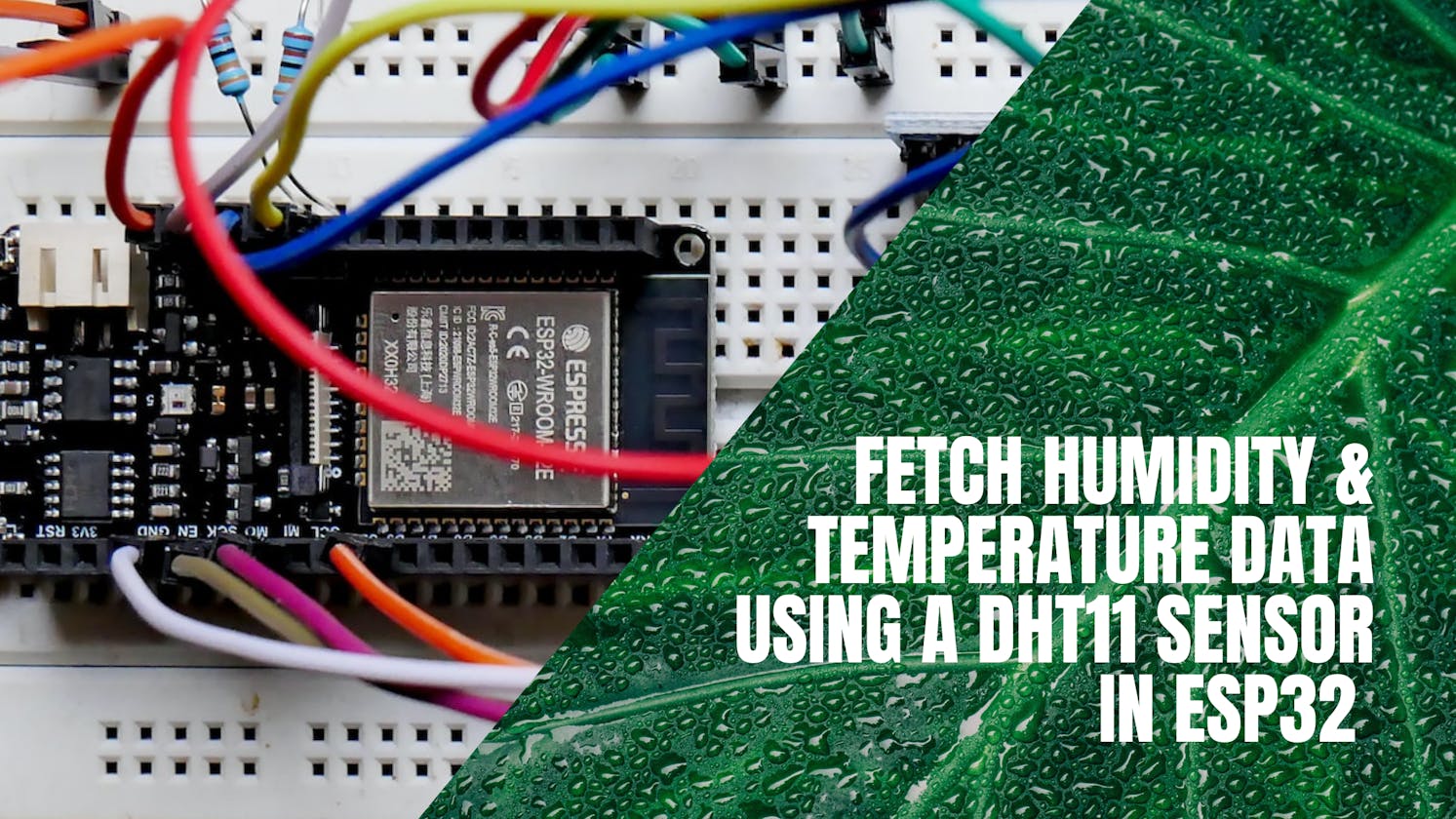How to read humidity & temperature data using a DHT11 sensor in ESP32 through ESP-IDF?