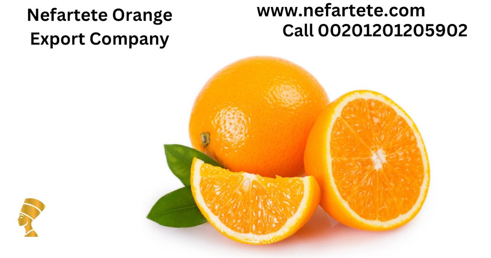 Nefartete orange exporter