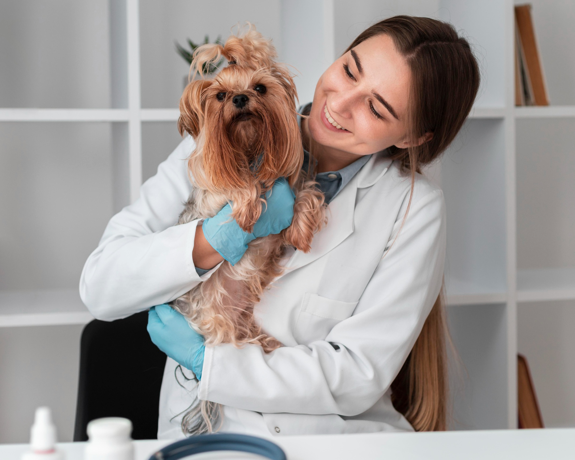 Selecting the Perfect Channel for Veterinary Courses