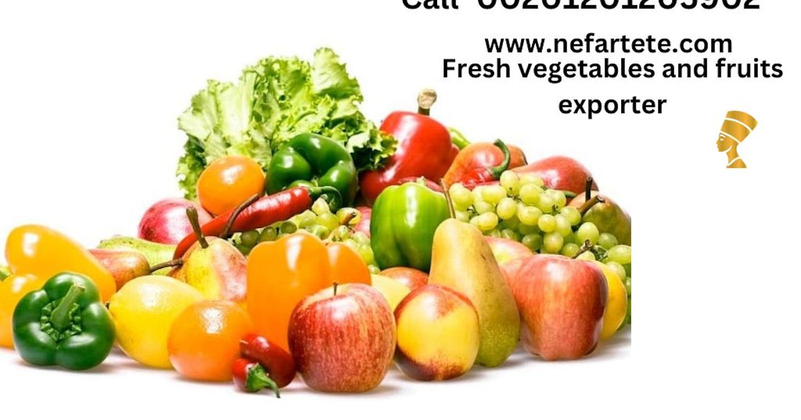 Nefartete exporter: Exporting Egyptian Vegetables and Fruits

Egypt has long been renowned for its rich agricultural exports, particularly in the fiel