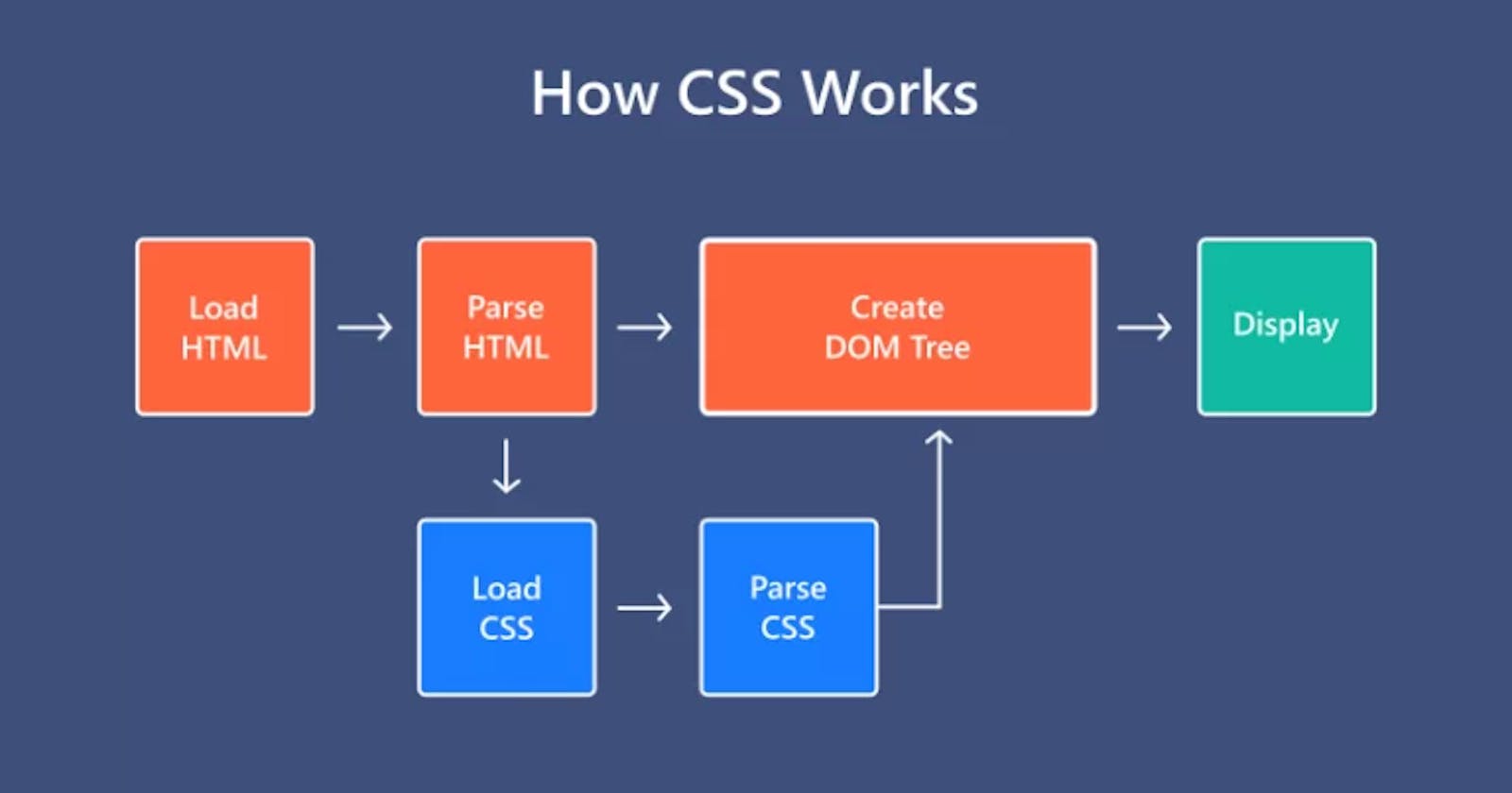 Basic of CSS(Cascading Style Sheets)