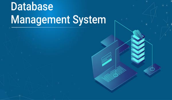 Understanding the Basics of Database