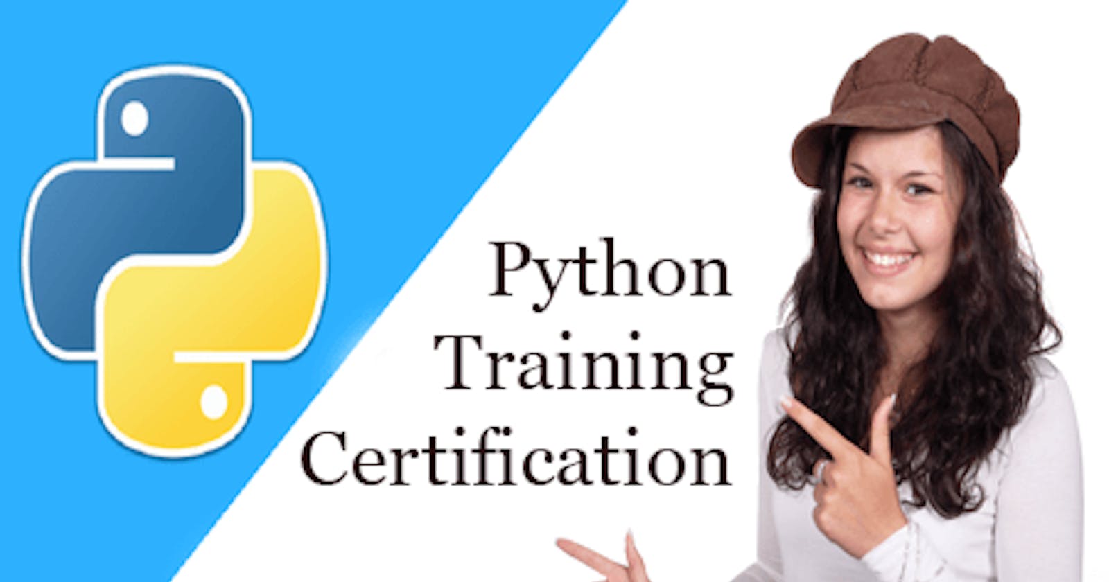 Python tutorial |learn python programming