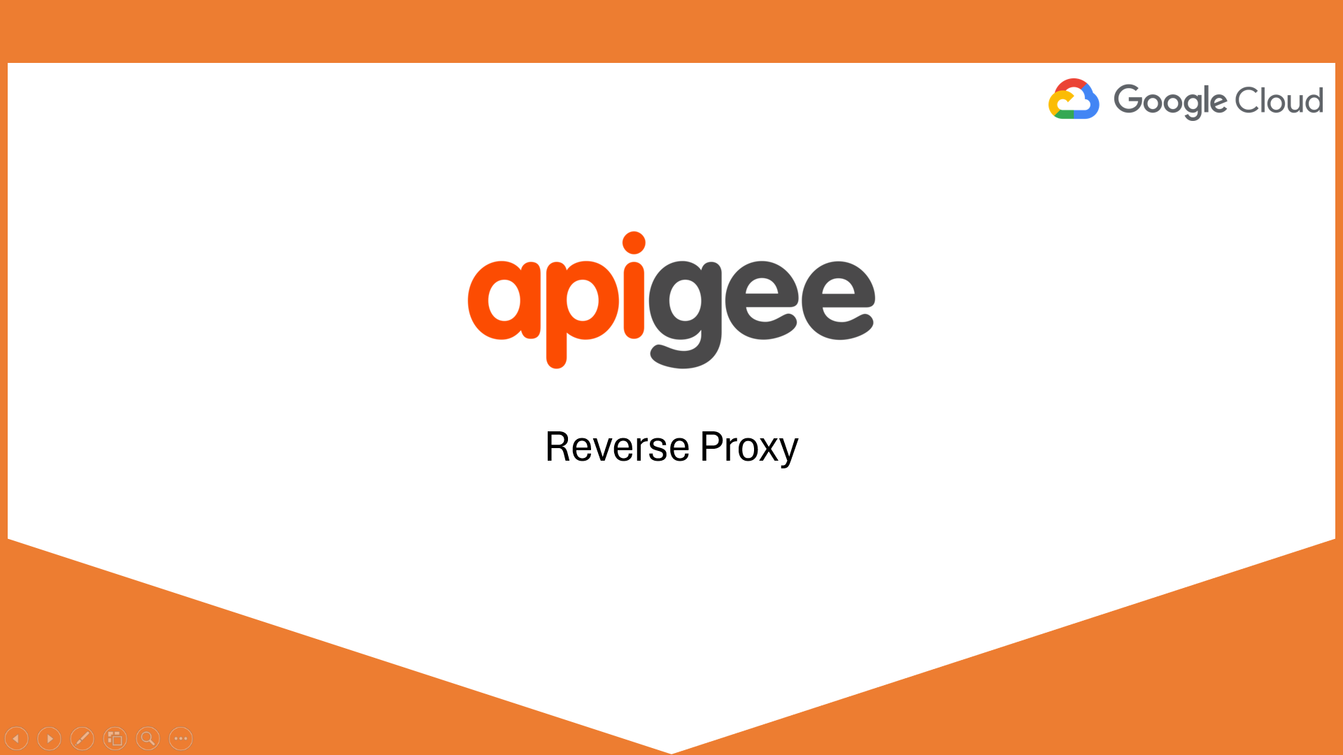 Reverse API Proxy