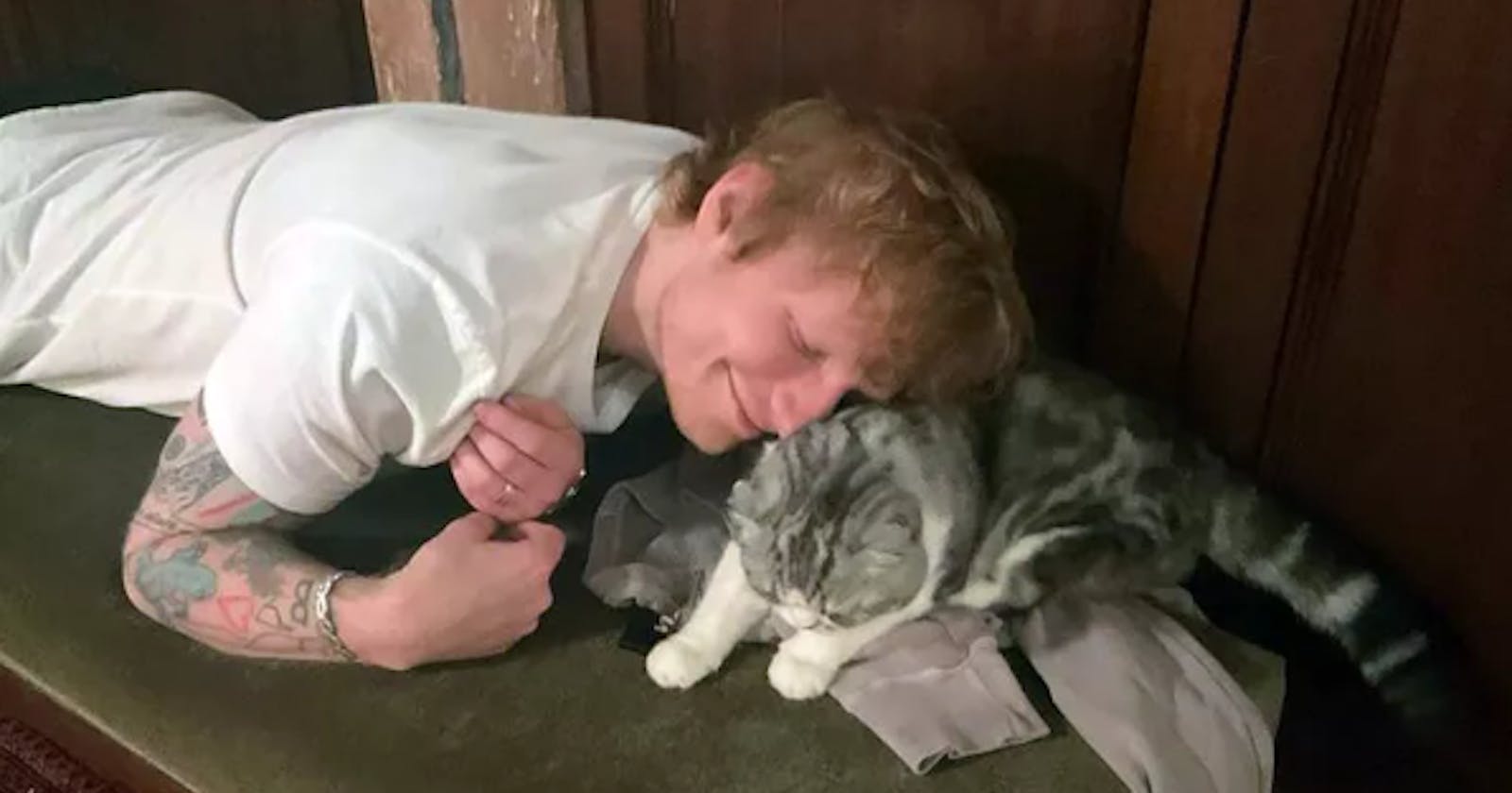 Ed Sheeran Shares Rare Photo of Taylor Swift's 'Private' Cat Meredith Grey