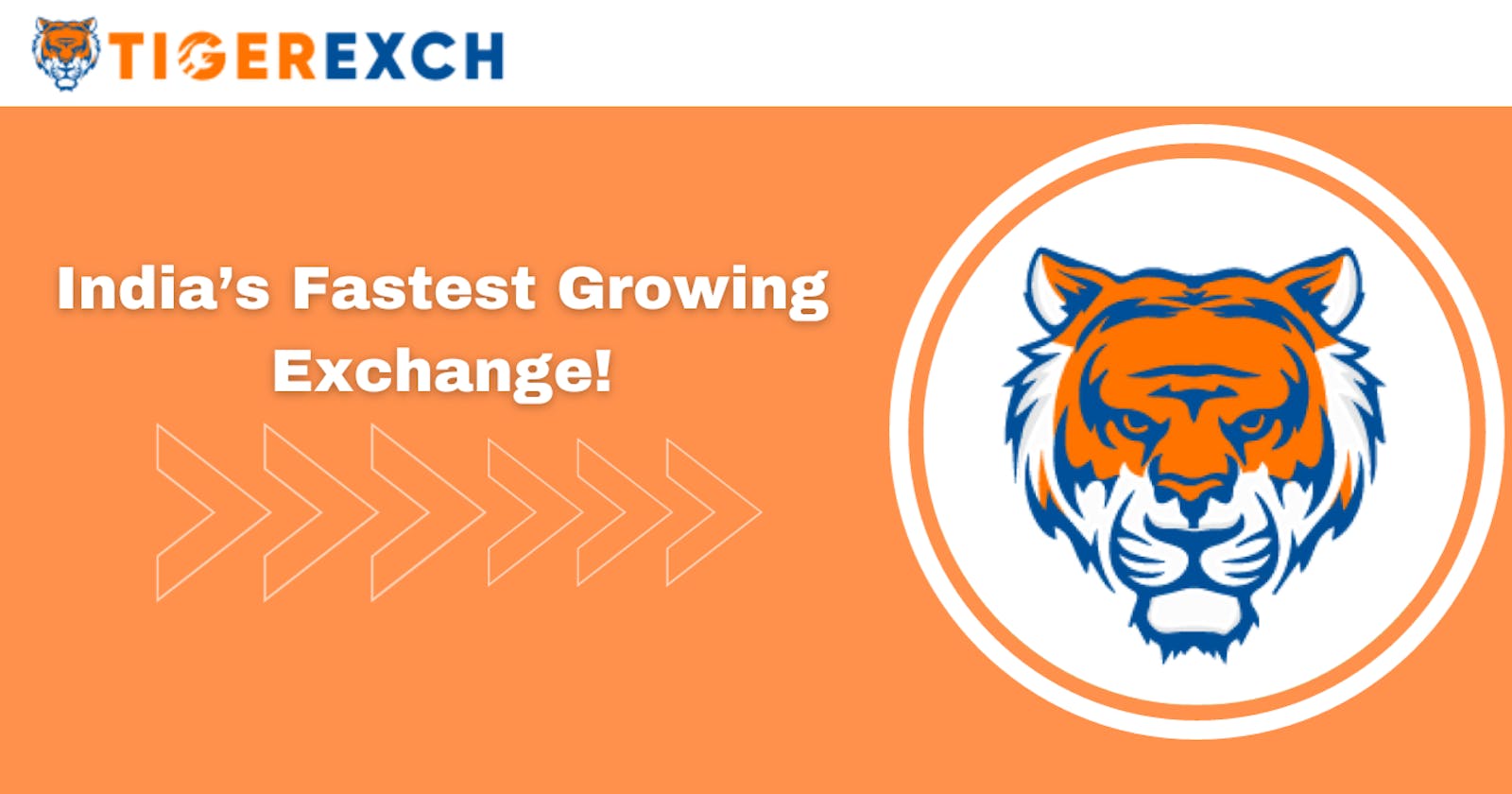 Enjoy a Comprehensive Online Betting Experience with Tiger Exchange!