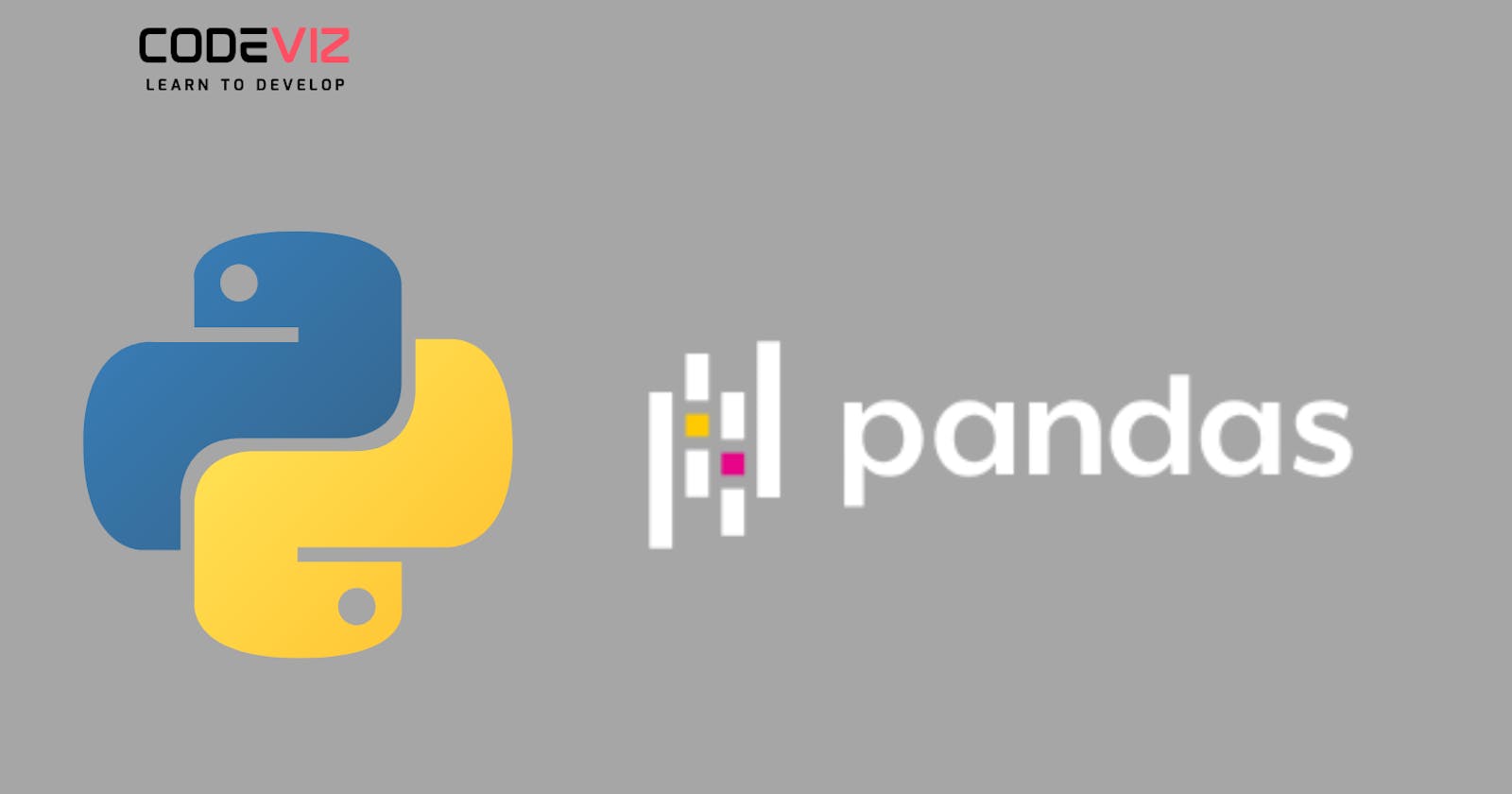 10 Basic Operations in Pandas and Python