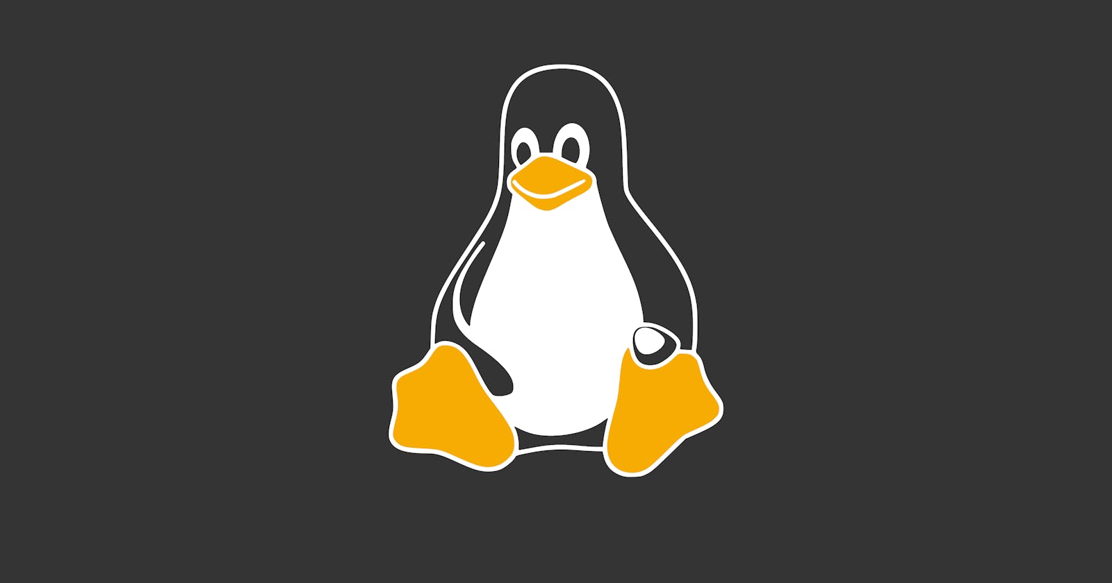 Unleash Your Coding Prowess: The 5 Best Linux Distros for Developers 🚀