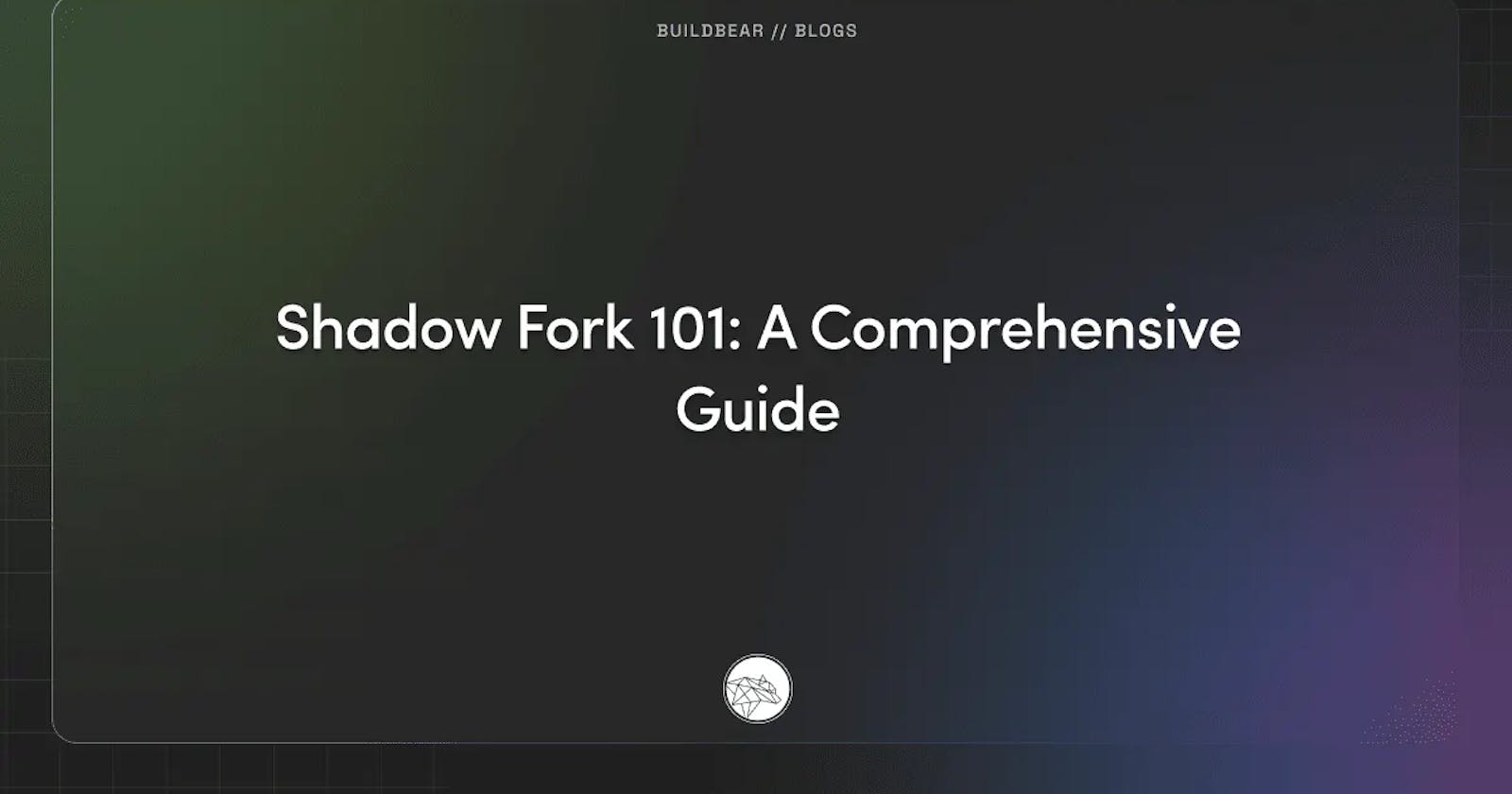 Shadow Fork 101: A Comprehensive Guide