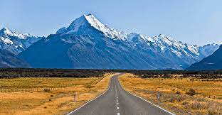 Your Guide to Getting a Driver's License in New Zealand