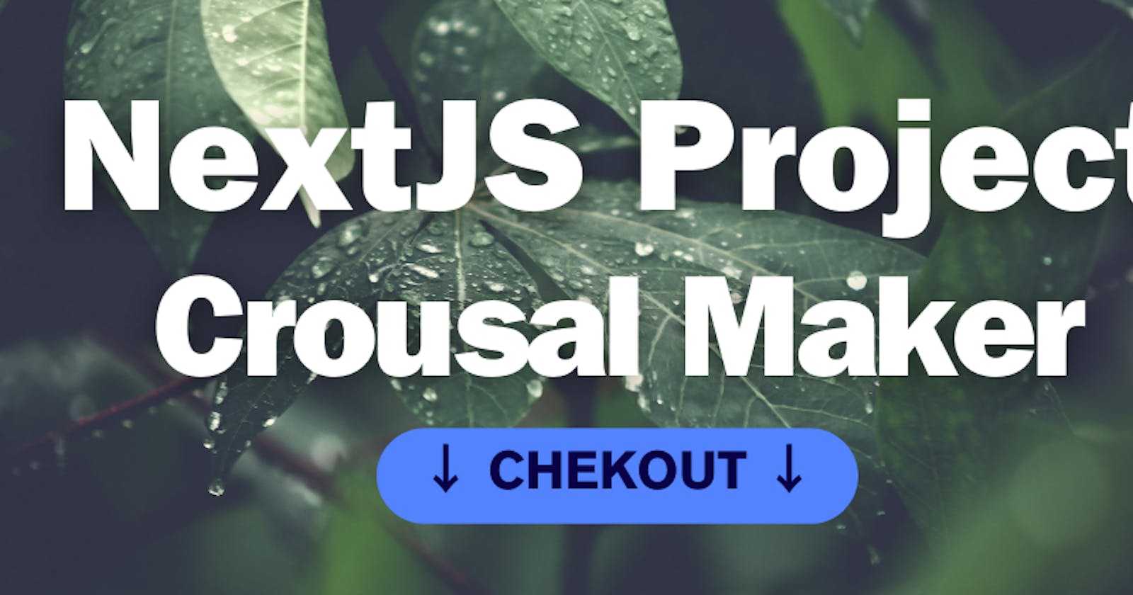 Building A Crousal Maker Tool with NextJS ⭐