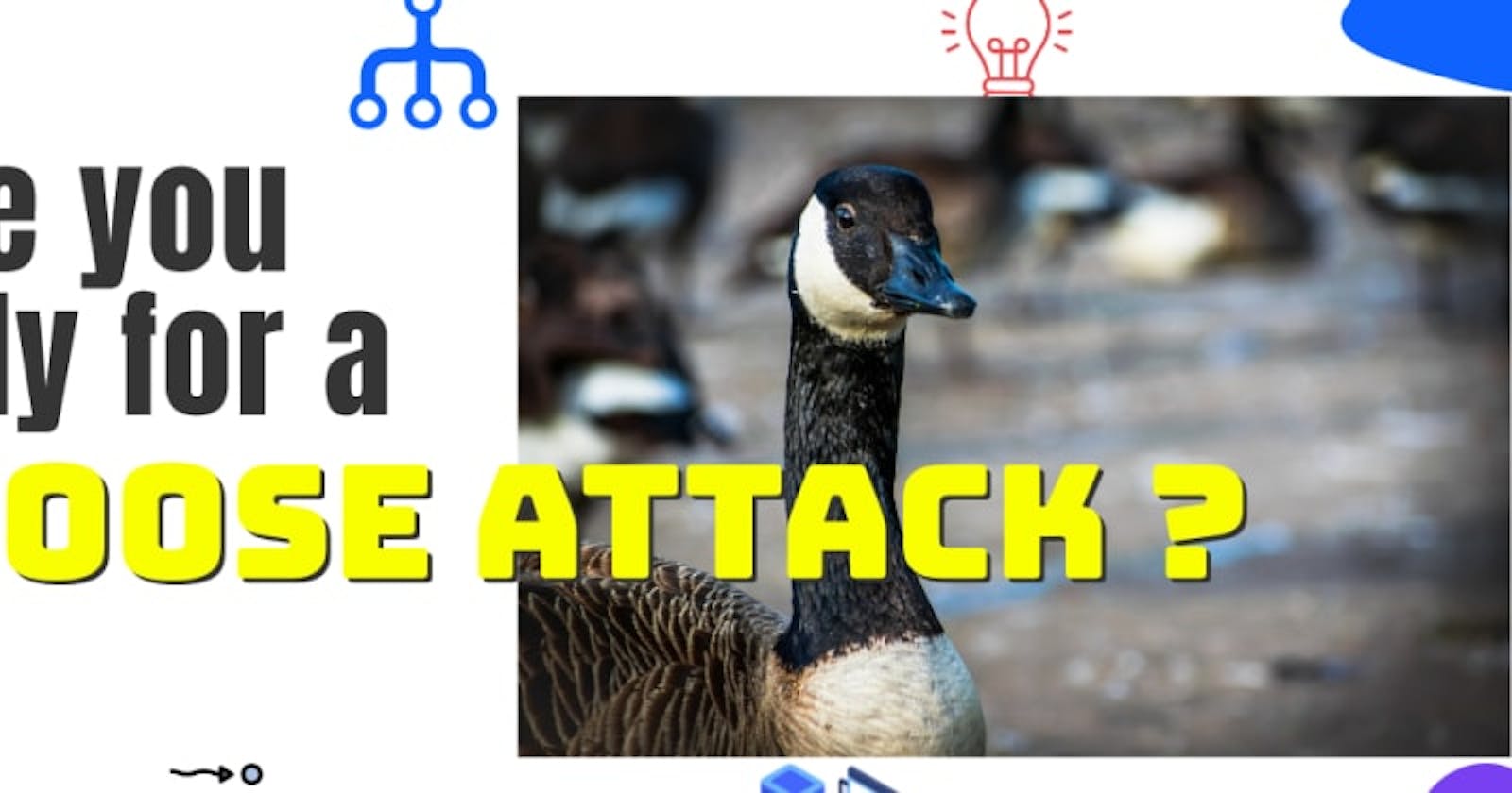 Are you ready for a Goose Attack?