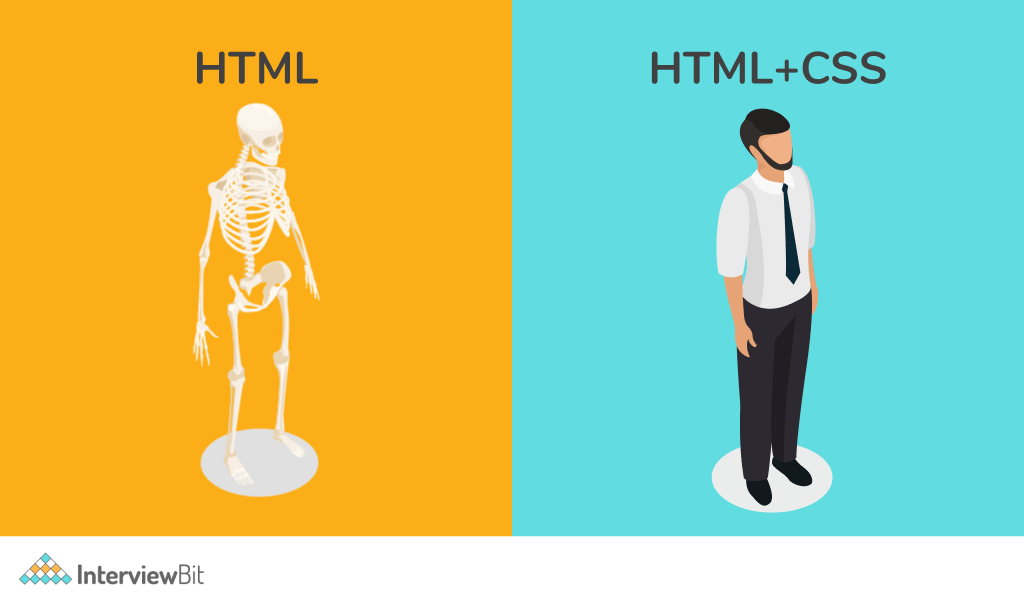 Mastering HTML and CSS: Essential Tips and Tricks