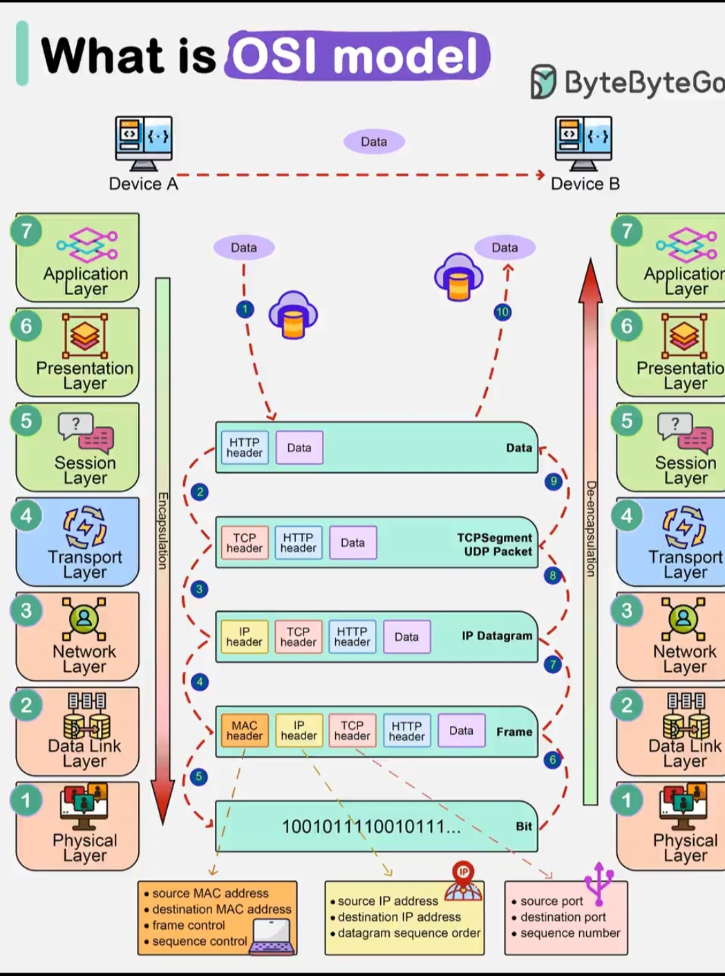 OSI Model Explained